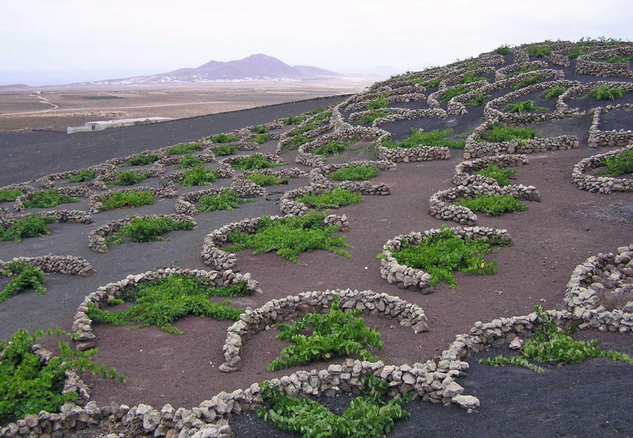 Casa El Gallo Teguise  Kültér fotó